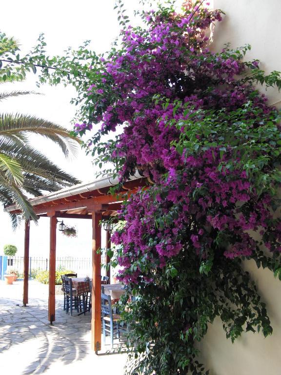 Kangaroo Hotel Мола-Калива Экстерьер фото